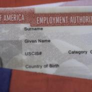 Employment Visa