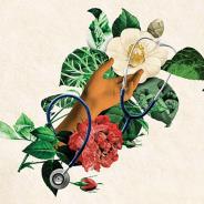 Cover art from Nuila's book, The People's Hospital