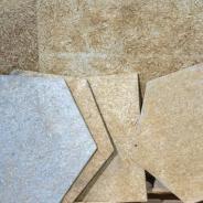 Biopolymer