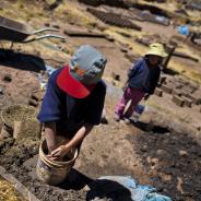 Latin children labor in unregulated conditions