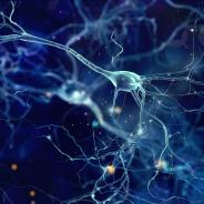 Brain health