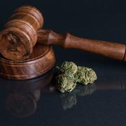 Marijuana Law 