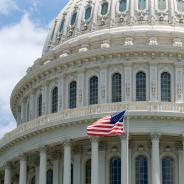 Capitol flag