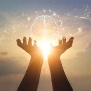 Brain and migration connections