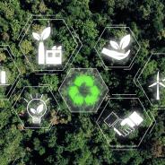 Sustainability Concept