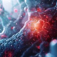 HD Stem Cell