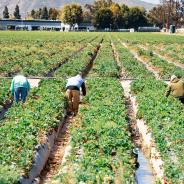 Migrant+Workers