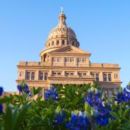 Texas capitol in bloom
