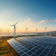 Solar cell in solar farm