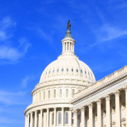 U.S. Capitol Building