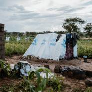 Refugee camp displacement_092324