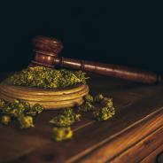 Wooden judge hammer and sound block with seeds and flower of marijuana
