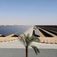 solar panels in desert with palm tree in foreground