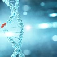 DNA strand being altered
