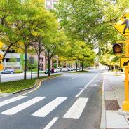Pedestrian crossing in the city