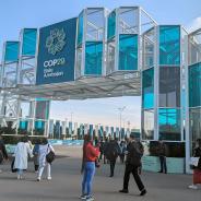 Annual UNFCCC meeting