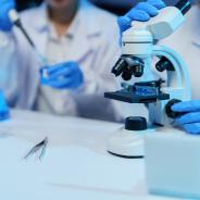 Medical researchers wearing lab coats and gloves are using a microscope and pipette, conducting experiments and research in a modern laboratory setting with beakers and tweezers.