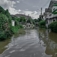 Hurricane-aftermath-disaster