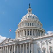 The United States Capitol Building in Washington, D.C. 