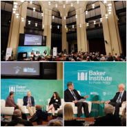 Collage of the event. 