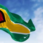 Close-up view of the Guyana national flag waving in the wind 