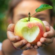 A child eats an apple in the garden.