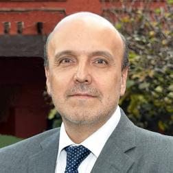 Headshot for Juan Rosellón