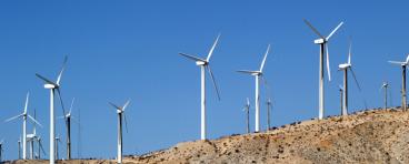 A wind farm.