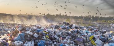 Pile of trash