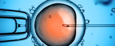 A needle poking a human cell.