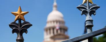 A star design on a gate, with the Texas State Capitol building in the background.