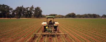 A tractor fertilizes crops.