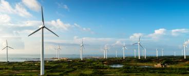 A wind farm.
