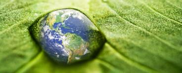 A reflection of Planet Earth appears on a water drop on a leaf.