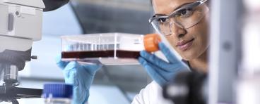 Stem Cell lab