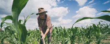 Old man working field