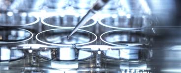 Stem cell pipette