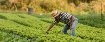 Farm Worker