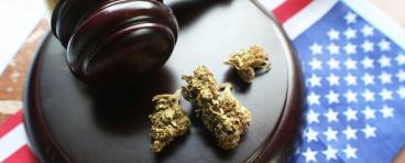 Marijuana+Law