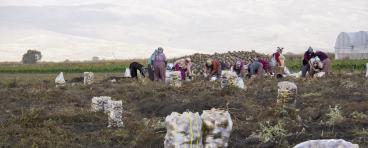 Agricultural workers