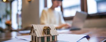 Property Taxes