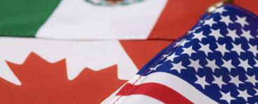 Nafta flags