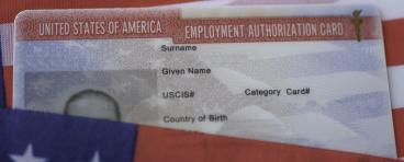 Employment Visa