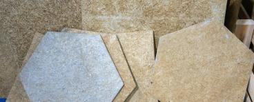 Biopolymer