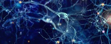 Brain health