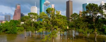 Houston skyline flood