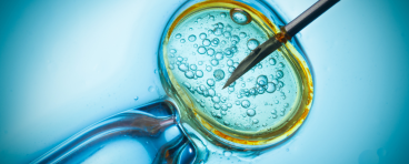 In vitro fertilization image