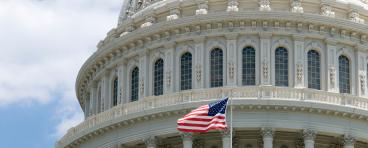 Capitol flag
