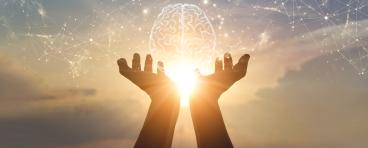 Brain and migration connections