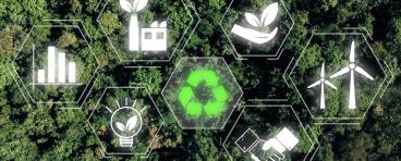 Sustainability Concept